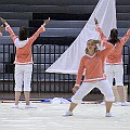 Blue Springs South Guard